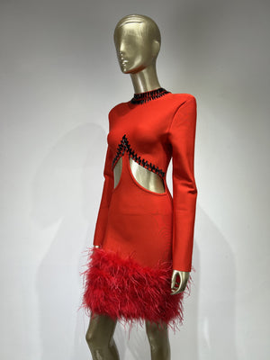 “Scarlet Temptation” Feathered Rhinestone Dress