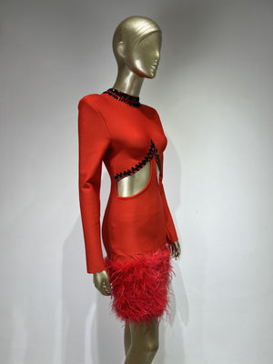 “Scarlet Temptation” Feathered Rhinestone Dress