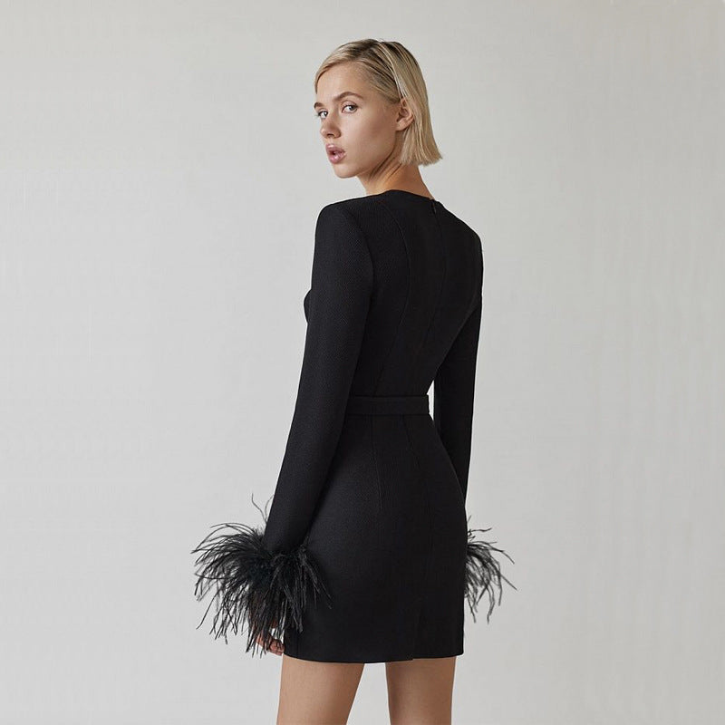 Feathered Elegance Dress